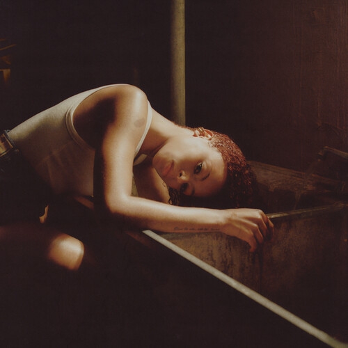 Ravyn Lenae - Bird's Eye (Bone Vinyl) i gruppen VINYL / RnB-Soul hos Bengans Skivbutik AB (5681610)