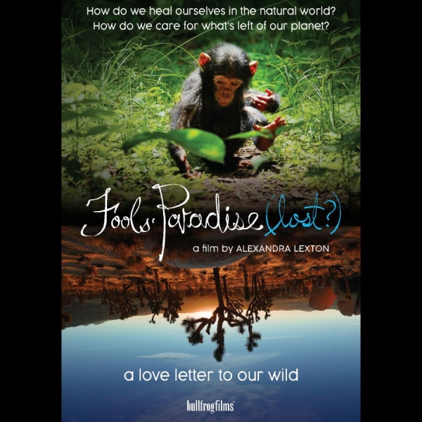 Various Artists - Fools' Paradise (Lost?) i gruppen Musikkk-DVD & Bluray / Kommende hos Bengans Skivbutik AB (5681859)
