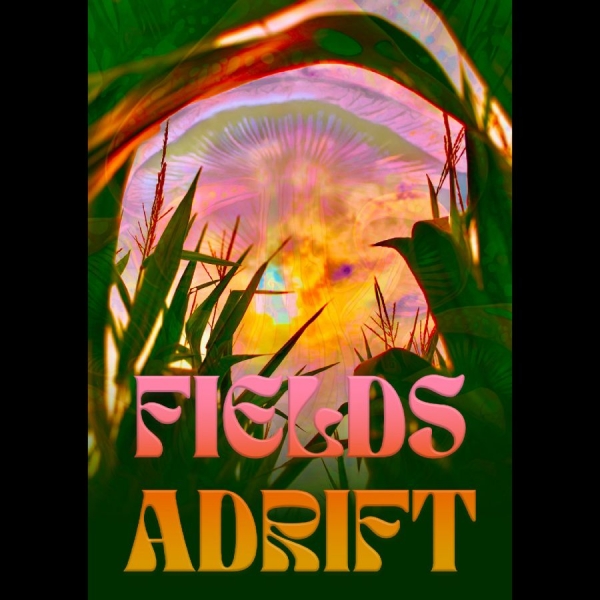 Various Artists - Fields Adrift i gruppen Musikkk-DVD & Bluray / Kommende hos Bengans Skivbutik AB (5682029)