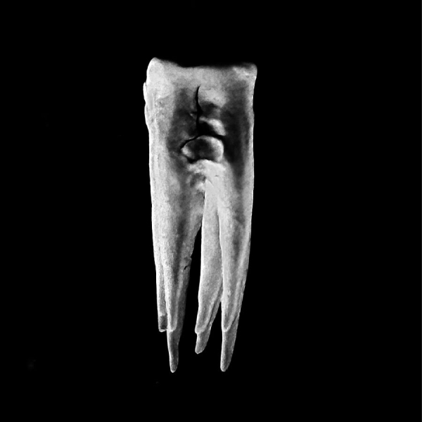 Chalk Teeth - Chalk Teeth i gruppen Pop-Rock hos Bengans Skivbutik AB (5682100)