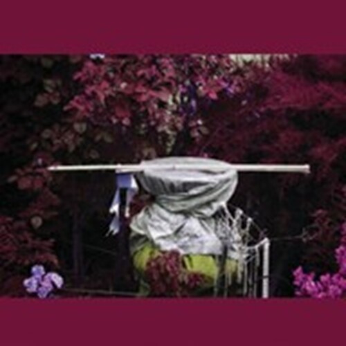 Ava Mendoza - Alive Alone Alive Together i gruppen CD / Toppselgere hos Bengans Skivbutik AB (5682219)