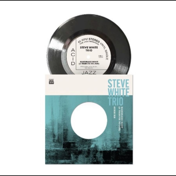 Steve White Trio - Mandrake Root (A Tribute To Jon) i gruppen VINYL / Kommende / Jazz hos Bengans Skivbutik AB (5682807)