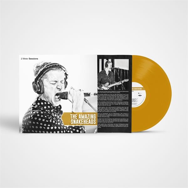 The Amazing Snakeheads - 2 Meter Sessions i gruppen VINYL / Mest forhåndsbestilt hos Bengans Skivbutik AB (5682947)