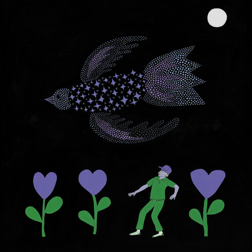 Bonnie Prince Billy - Purple Bird i gruppen VINYL / Toppselgere hos Bengans Skivbutik AB (5683408)