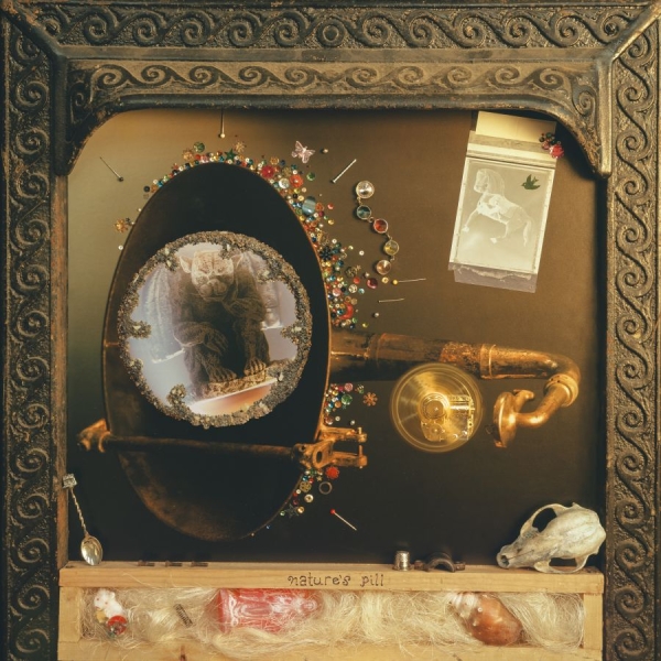 Wishy - Nature's Pill i gruppen VINYL / Kommende / Pop-Rock hos Bengans Skivbutik AB (5683560)