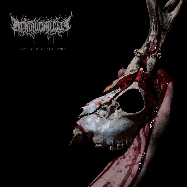 Cruelty Mental - Echoes Of A Forlorn Land i gruppen VINYL / Mest forhåndsbestilt hos Bengans Skivbutik AB (5683720)