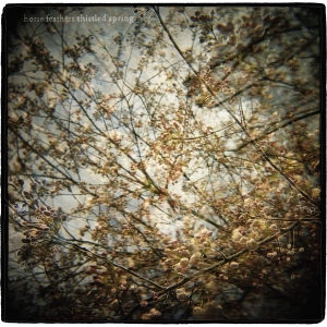 Horse Feathers - Thistled Spring i gruppen CD hos Bengans Skivbutik AB (568380)