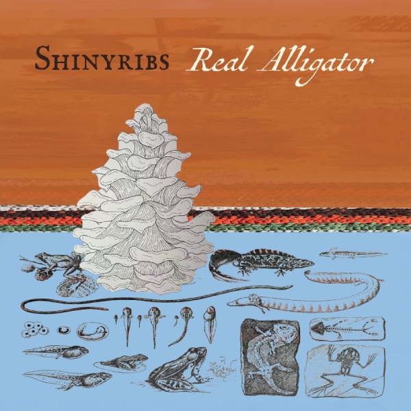 Shinyribs - Real Alligator i gruppen CD / Kommende / Pop-Rock hos Bengans Skivbutik AB (5684549)