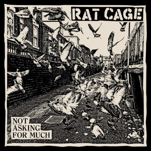 Rat Cage - Not Asking For Much i gruppen VINYL / Kommende / Pop-Rock hos Bengans Skivbutik AB (5685851)