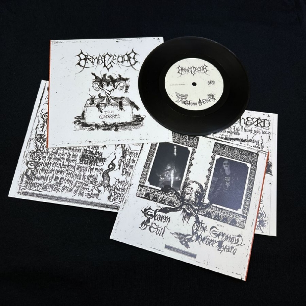 Armagedda - The Storm i gruppen VINYL / Nyheter / Metal hos Bengans Skivbutik AB (5685980)