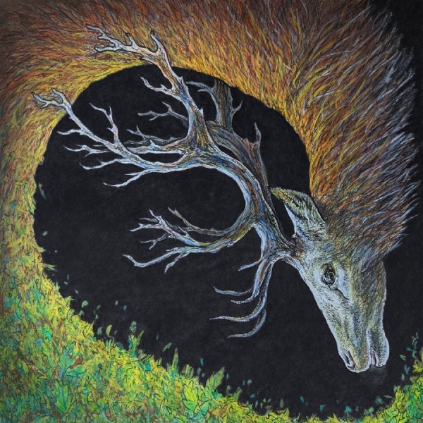 Petrels - Infangthief (Deluxe Edition, Clear i gruppen VINYL / Kommende / Pop-Rock hos Bengans Skivbutik AB (5686010)