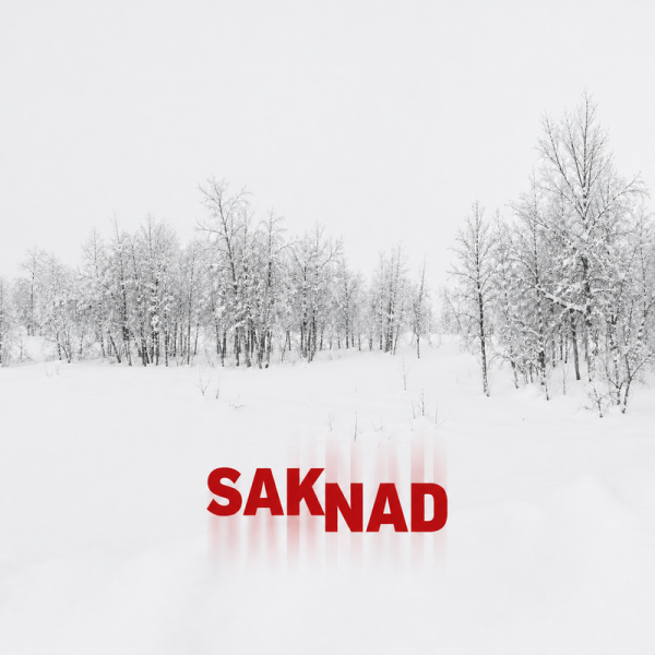 Saknad - Saknad (Black Vinyl LP) i gruppen VINYL / Nyheter / Pop-Rock hos Bengans Skivbutik AB (5686143)