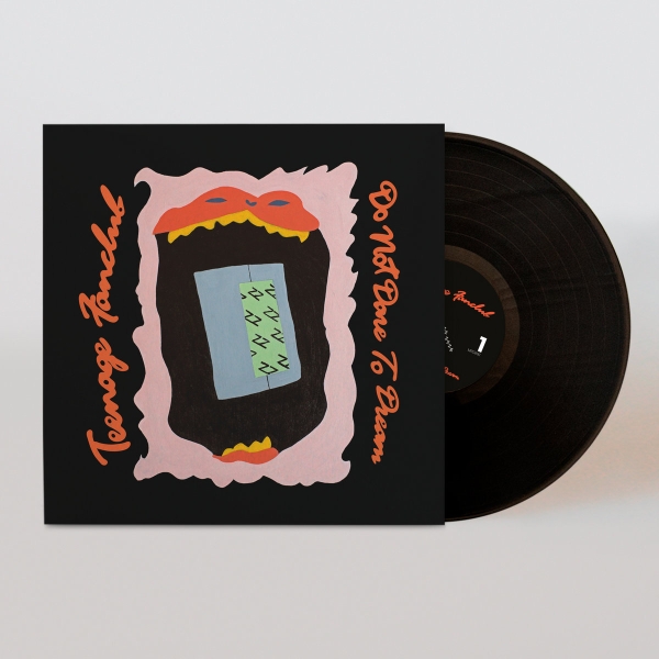 Teenage Fanclub - Do Not Dare To Dream i gruppen VINYL / Pop-Rock hos Bengans Skivbutik AB (5686785)