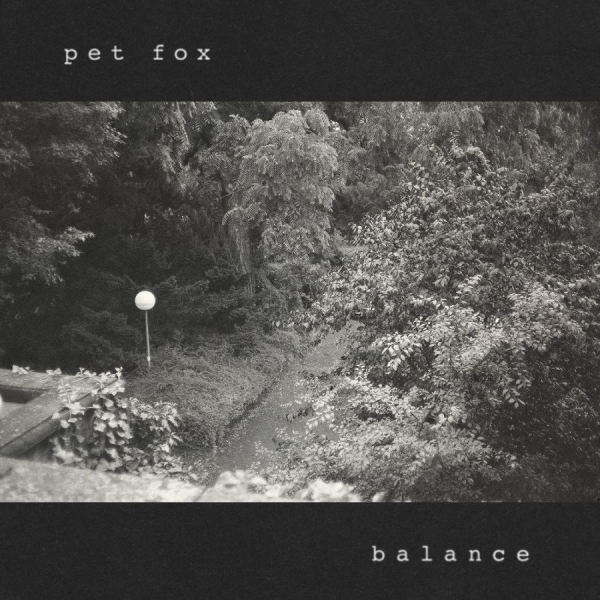 Pet Fox - Balance (Cobweb Colored Vinyl) i gruppen VINYL / Kommende / Pop-Rock hos Bengans Skivbutik AB (5686830)