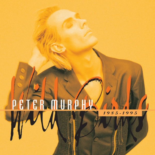 Peter Murphy - Wild Birds 1984-1995 i gruppen CD / Toppselgere hos Bengans Skivbutik AB (5687121)