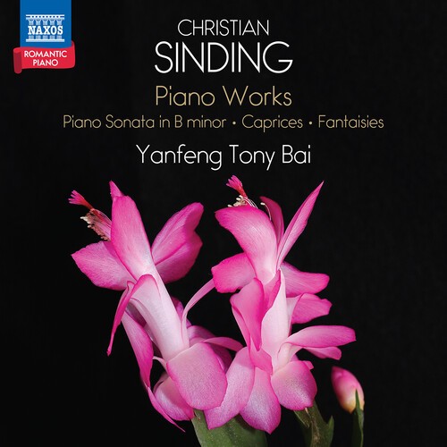 Christian Sinding - Piano Works i gruppen CD / Klassisk hos Bengans Skivbutik AB (5687286)