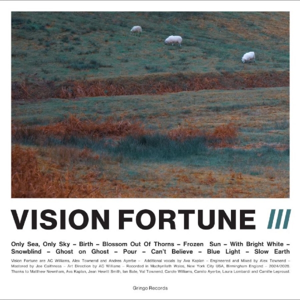 Vision Fortune - Iii i gruppen VINYL / Kommende / Pop-Rock hos Bengans Skivbutik AB (5687291)
