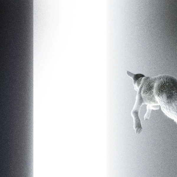 Panoram - Keep Looking Where The Light Comes i gruppen VINYL / Toppselgere hos Bengans Skivbutik AB (5687594)