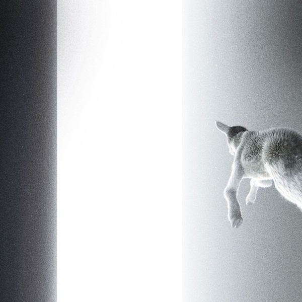 Panoram - Keep Looking Where The Light Comes i gruppen VINYL / Pop-Rock hos Bengans Skivbutik AB (5687594)