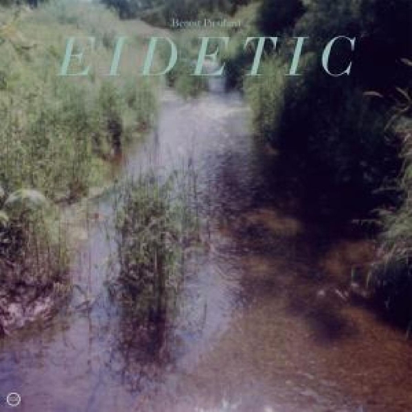 Pioulard Benoit - Eidetic i gruppen VINYL / Toppselgere hos Bengans Skivbutik AB (5687618)