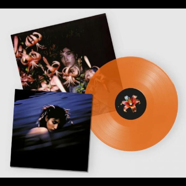 Hurt Shirley - Hurt, Shirley i gruppen VINYL / Toppselgere hos Bengans Skivbutik AB (5687829)