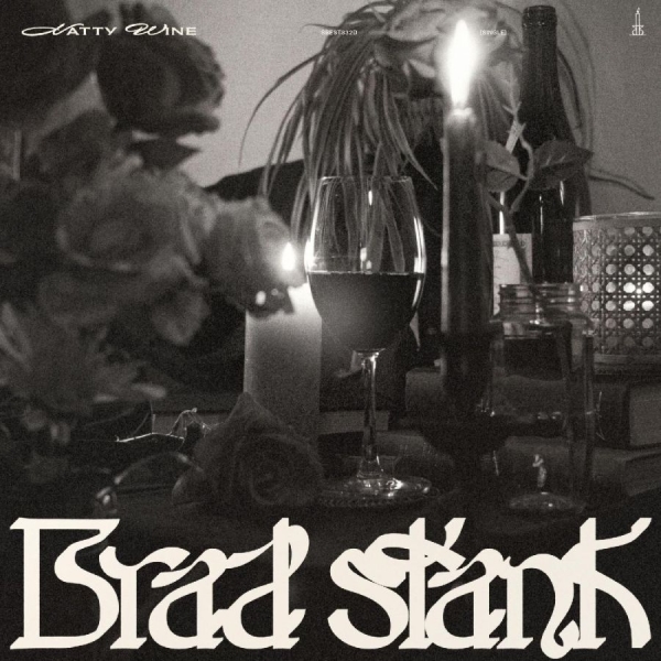 Stank Brad - In The Midst Of You i gruppen VINYL / Toppselgere hos Bengans Skivbutik AB (5687865)