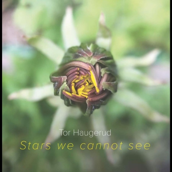 Haugerudtor - Stars We Cannot See (Vinyl) i gruppen VINYL / Jazz hos Bengans Skivbutik AB (5687891)