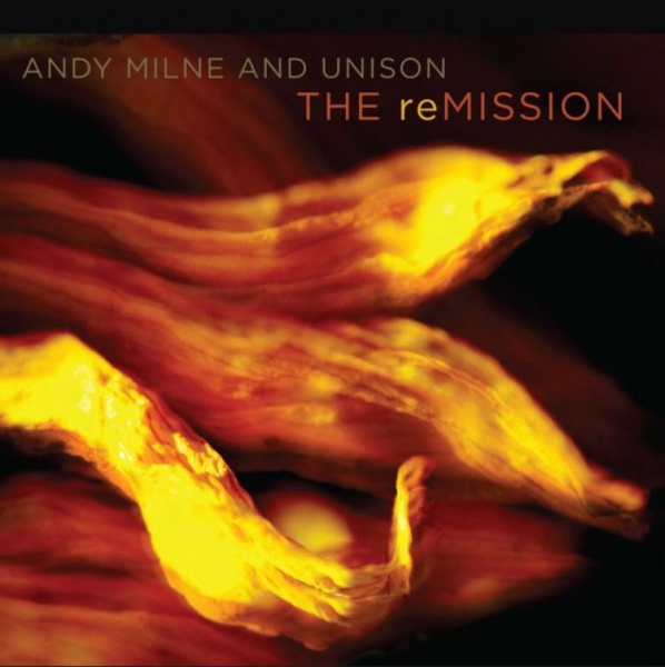 Milne Andy (And Unison) - Remission i gruppen CD / Toppselgere hos Bengans Skivbutik AB (5687971)