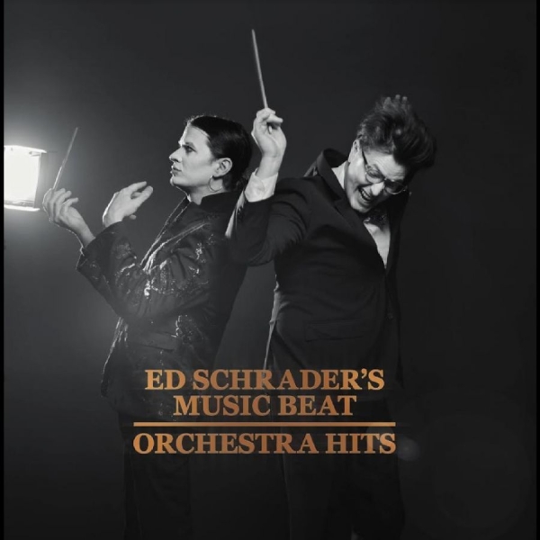 Ed Schrader?S Music Beat - Orchestra Hits i gruppen VINYL / Toppselgere hos Bengans Skivbutik AB (5688146)