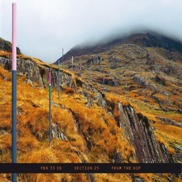Section 25 - From The Hip i gruppen CD / Toppselgere hos Bengans Skivbutik AB (5688676)