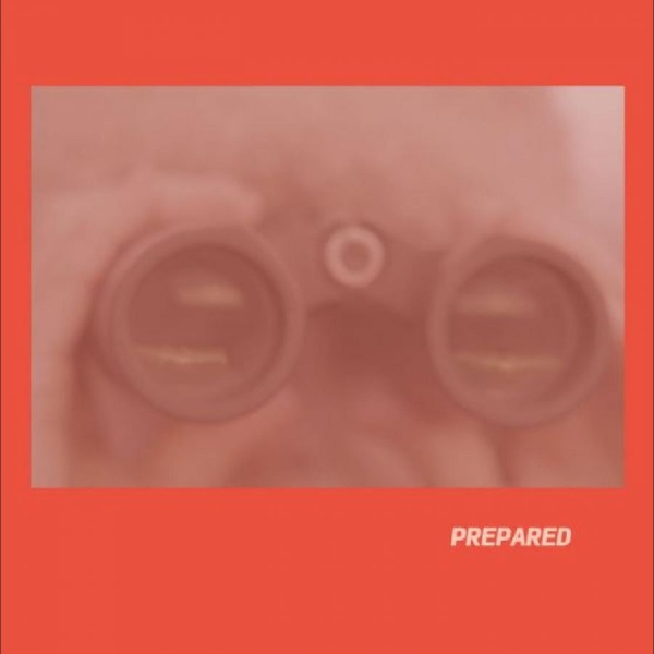 Martin Laura J - Prepared i gruppen CD / Toppselgere hos Bengans Skivbutik AB (5688881)