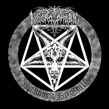 Necrophobic - Spawned By Evil (Pic Disc) i gruppen VINYL / Toppselgere hos Bengans Skivbutik AB (5689197)