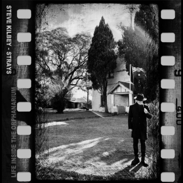 Steve Kilbey - Strays (Life Inside The Orphanarium i gruppen CD / Kommende / Pop-Rock hos Bengans Skivbutik AB (5689292)