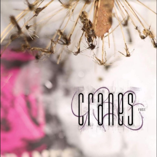 Cranes - Fuse i gruppen CD / Toppselgere hos Bengans Skivbutik AB (5689502)