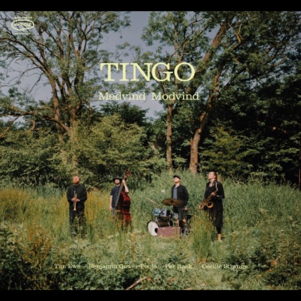 Tingo - Medvind Modvind i gruppen CD / Kommende / Jazz hos Bengans Skivbutik AB (5689959)