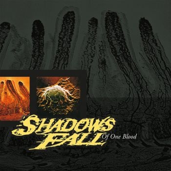 Shadows Fall - Of One Blood i gruppen CD / Metal hos Bengans Skivbutik AB (5689989)