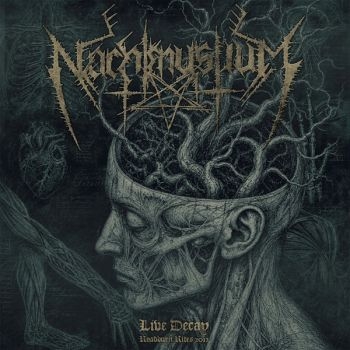 Nachtmystium - Live Decay: Roadburn 2012 i gruppen CD / Metal hos Bengans Skivbutik AB (5690013)