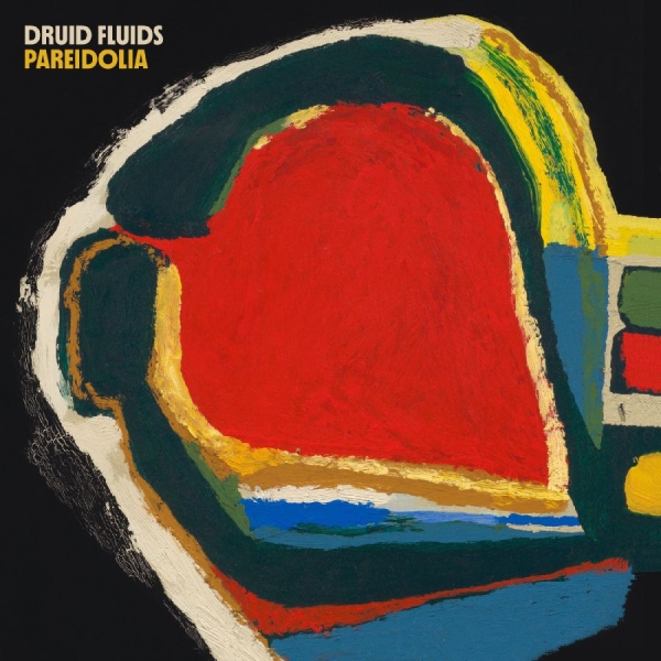 Druid Fluids - Pareidolia i gruppen CD / Kommende / Pop-Rock hos Bengans Skivbutik AB (5690449)