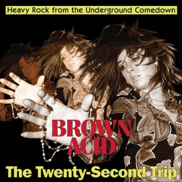 Various Artists - Brown Acid - The Twenty-Second Trip i gruppen VINYL / Toppselgere hos Bengans Skivbutik AB (5690539)