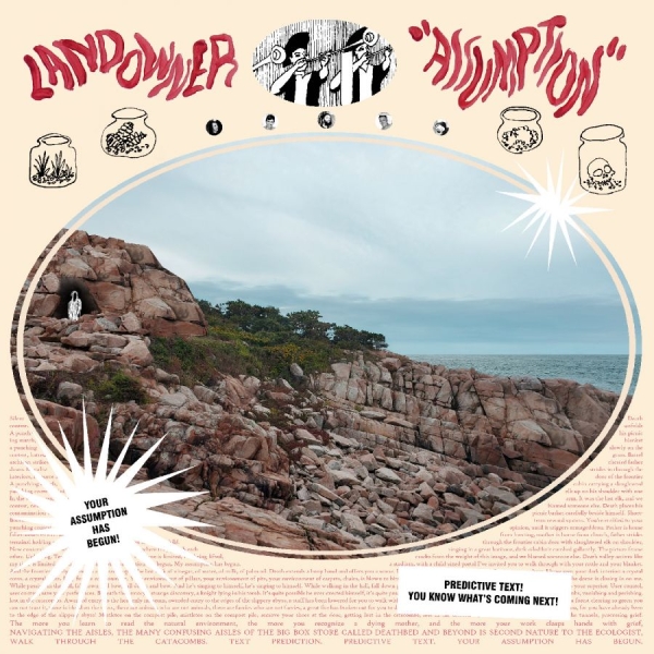 Landowner - Assumption (Electric Smoke Vinyl) i gruppen VINYL / Kommende / Pop-Rock hos Bengans Skivbutik AB (5690594)