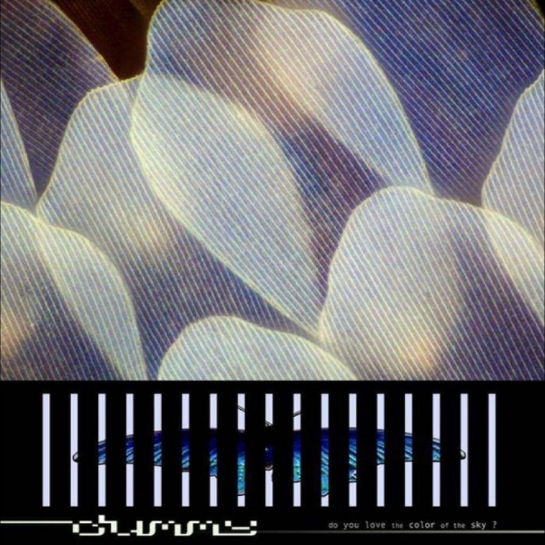 Dummy - Do You Love The Color Of The Sky? i gruppen Kommende / Pop-Rock hos Bengans Skivbutik AB (5690882)