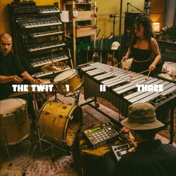 The Twit 1 Ii Three - The Twit 1, Ii, Three i gruppen VINYL / Mest forhåndsbestilt hos Bengans Skivbutik AB (5690885)
