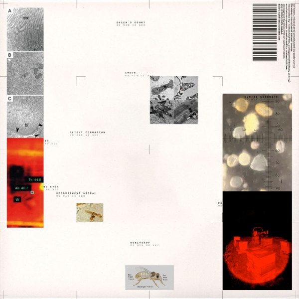 Polygonia Simon Popp - Apiformes i gruppen VINYL / Kommende / Jazz hos Bengans Skivbutik AB (5690957)