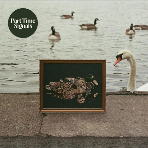 Part Time Signals - Ducks Back, Baby i gruppen CD / Kommende / Pop-Rock hos Bengans Skivbutik AB (5692160)