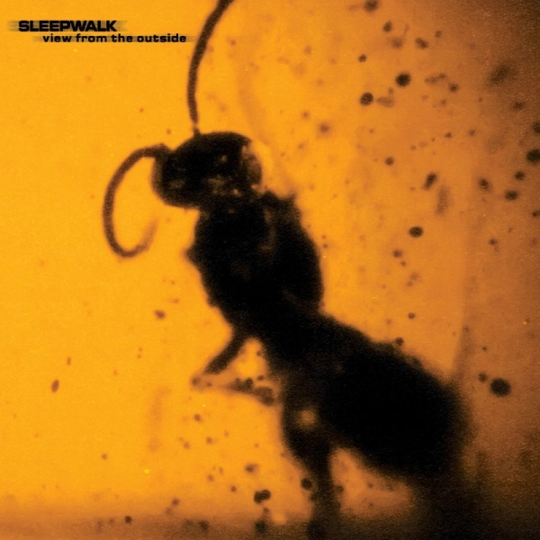 Sleepwalk - View From The Outside i gruppen CD / Kommende / Pop-Rock hos Bengans Skivbutik AB (5692162)