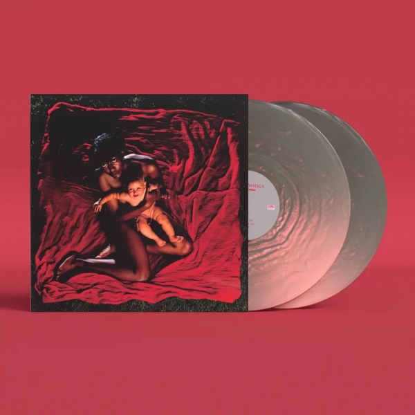 Afghan Whigs - Congregation (Anniversary Edition P i gruppen VINYL / Mest forhåndsbestilt hos Bengans Skivbutik AB (5692372)