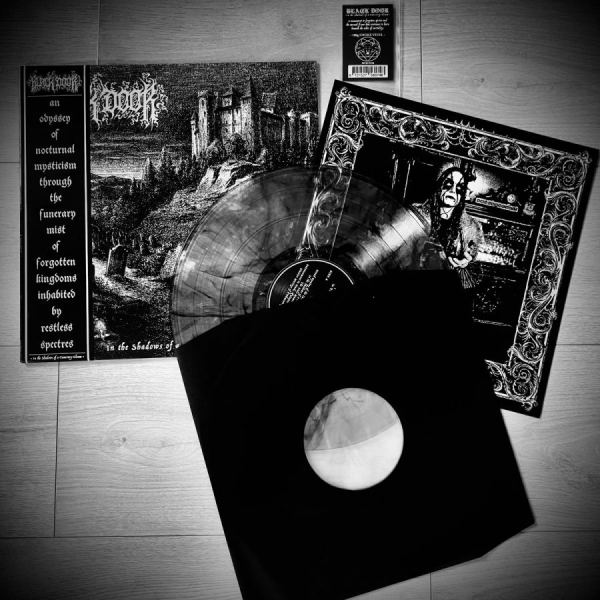 Black Door - In The Shadows Of A Funerary Gleam i gruppen VINYL / Kommende / Metal hos Bengans Skivbutik AB (5692542)