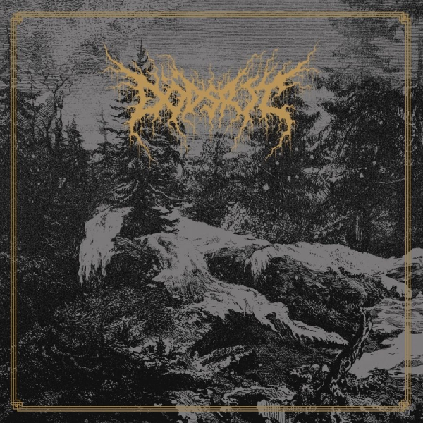Dödsrit - Mortal Coil (Mist Vinyl Lp W/Obi) i gruppen VINYL / Kommende / Metal hos Bengans Skivbutik AB (5693445)