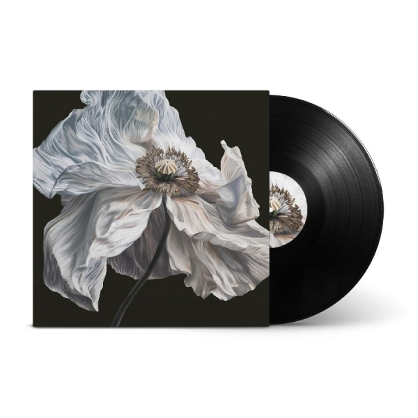 Quicksand - Bring On The Psychics i gruppen VINYL / Mest forhåndsbestilt hos Bengans Skivbutik AB (5693558)