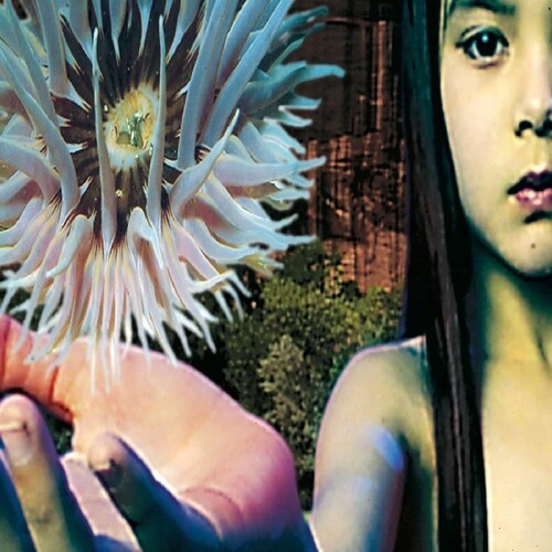 The Future Sound Of London - Lifeforms i gruppen VINYL / Toppselgere hos Bengans Skivbutik AB (5693618)